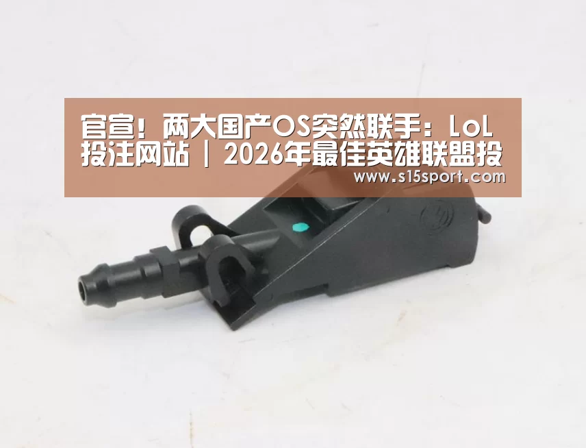 LoL投注网站直播