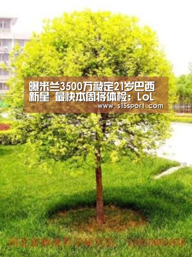 曝米兰3500万敲定21岁巴西新星 最快本周将体检:LoL投注网站 | 2026年最佳英雄联盟投注网站(图1) LoL投注网站直播