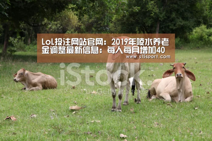 LoL投注网站官网:2019年陵水养老金调整最新信息:每人每月增加40元(图3) LoL投注网站直播